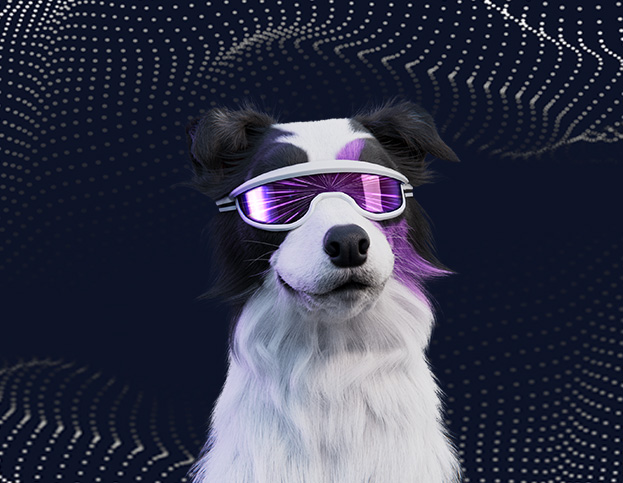 spark the dog with VR glasses
