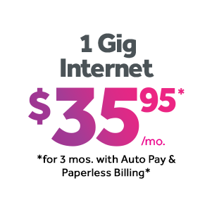 1 Gig Internet $35.95