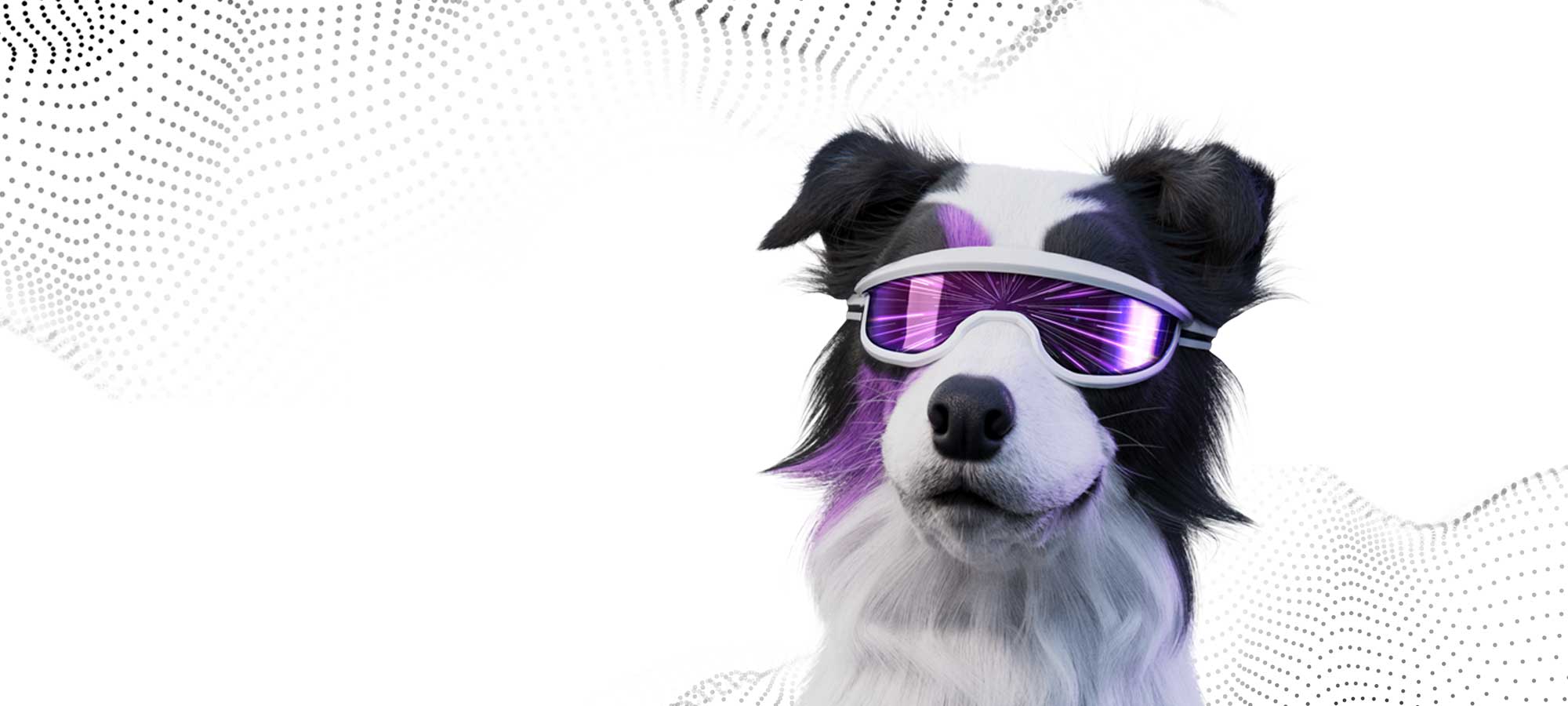 Dog with goggles