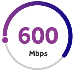 600 Megabits Per Second Download Speed